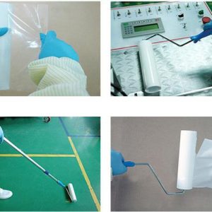 ung-dung-con-lan-dinhb-bui